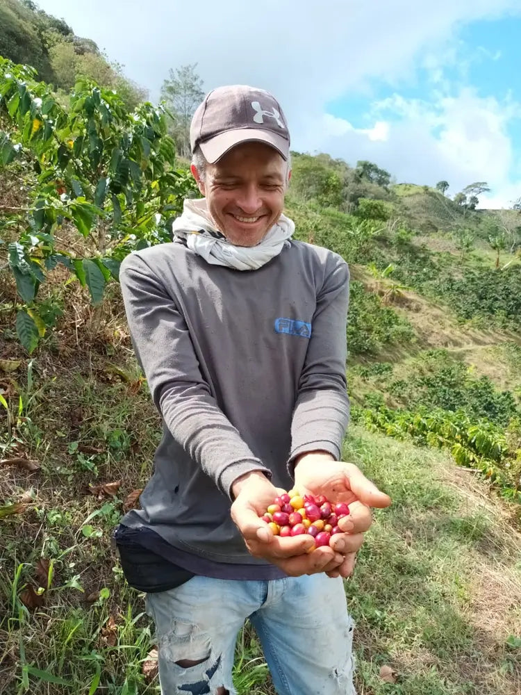 Decaf Project Kit by James Hoffmann