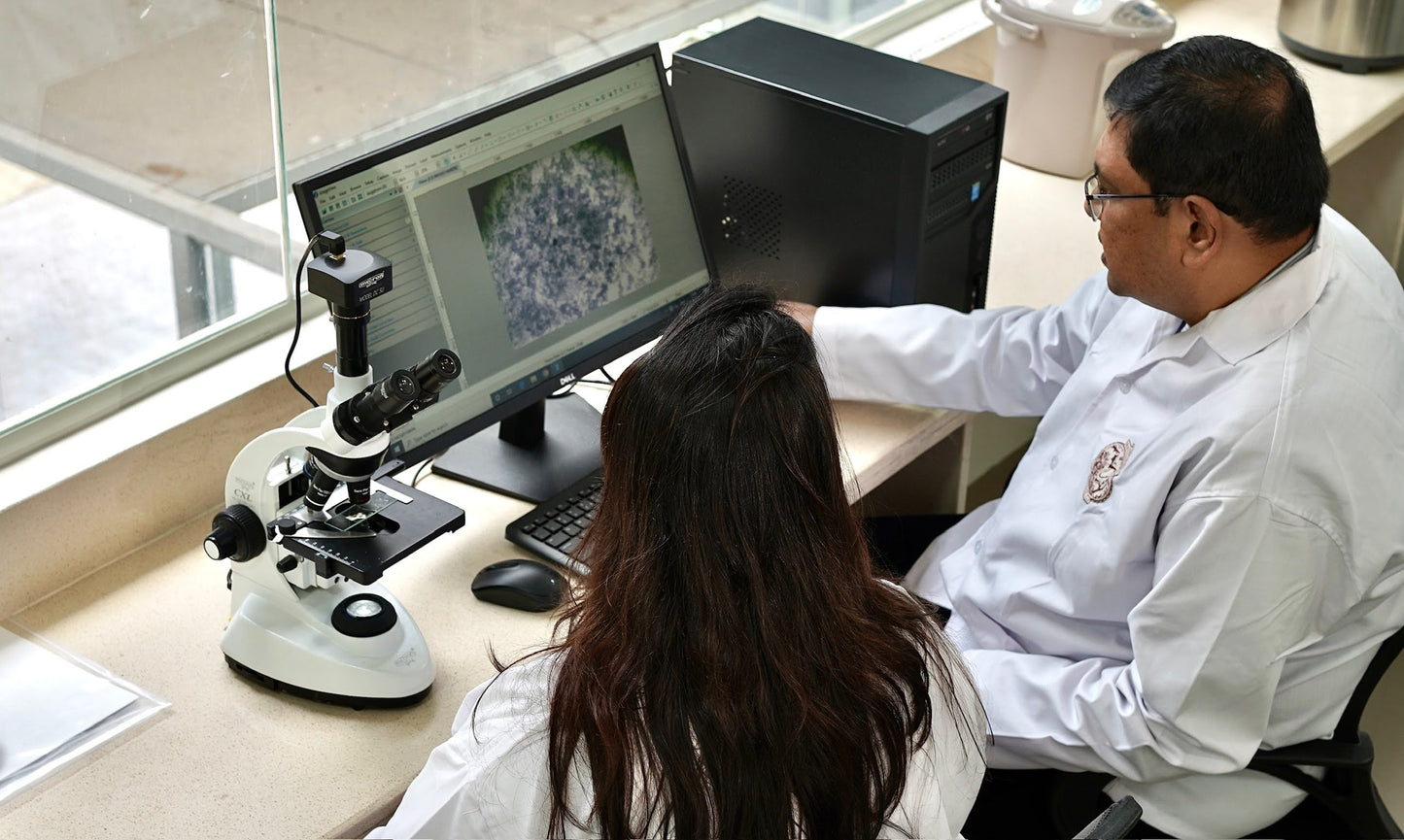 India Ratnagiri Scoby Anaerobic 72h