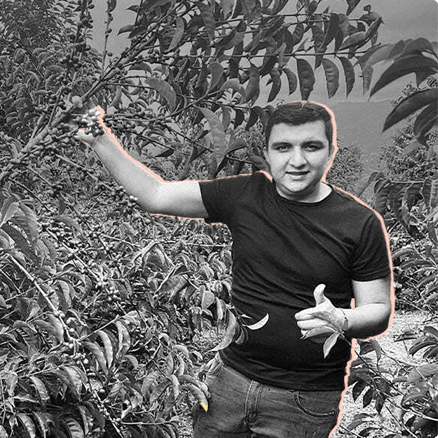 COLOMBIA NESTOR LASSO ANAEROBIC NATURAL