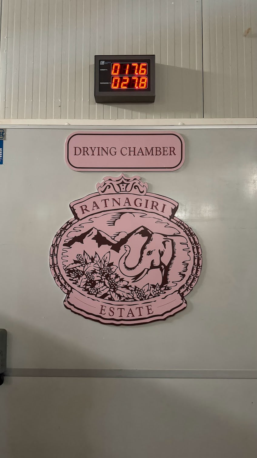 India Ratnagiri Scoby Anaerobic 72h