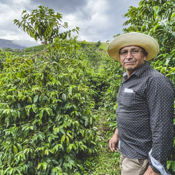 Ecuador Abel Salinas Finca Arashi Typica Mejorado