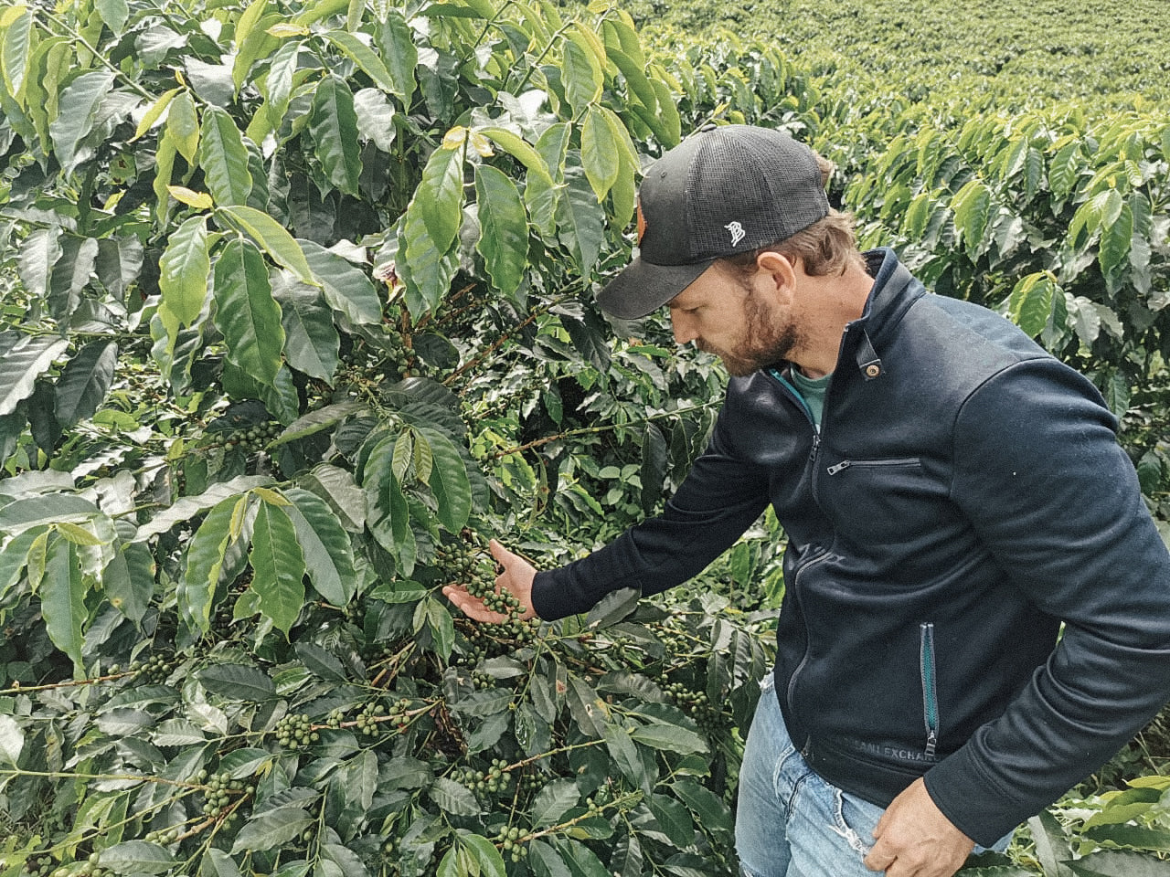 COLOMBIA SEBASTIAN RAMIREZ PINK BOURBON (LIGHT ROAST)