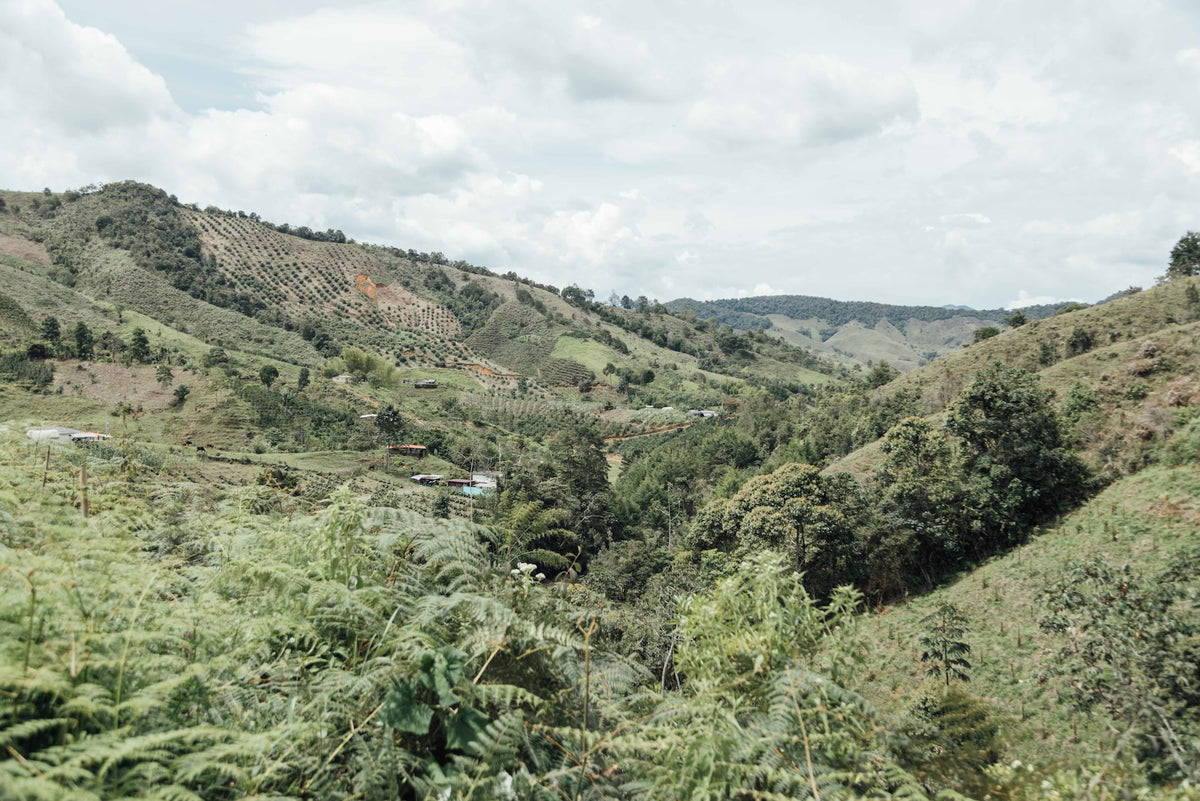 Colombia Hector Lopez Chiroso