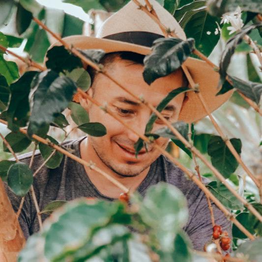 COLOMBIA DIEGO BERMUDEZ ROSA TÉ