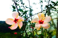 Origin Spotlight: Colombia