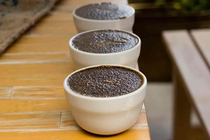 How Do We Select Coffees In Each Roast Profile?