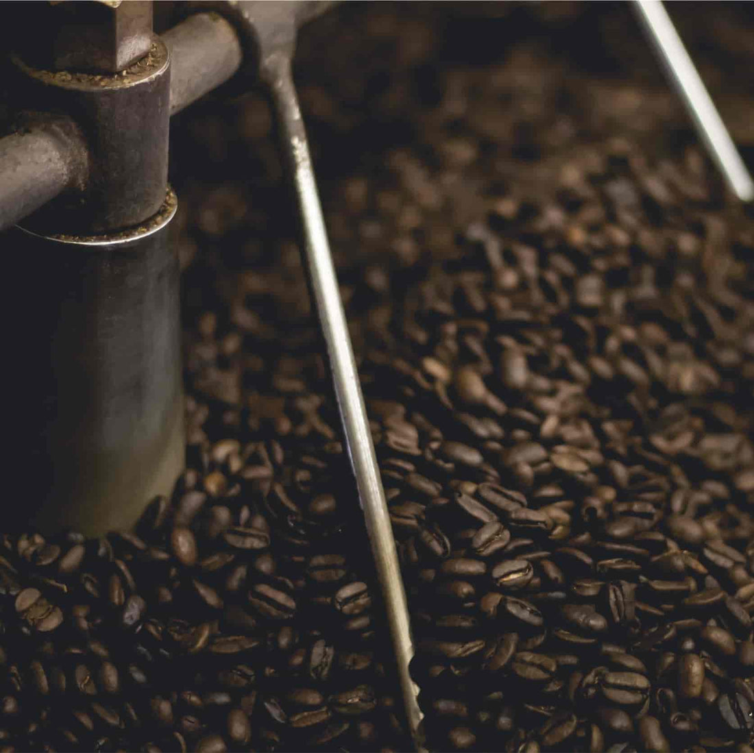 freshly roasted coffee