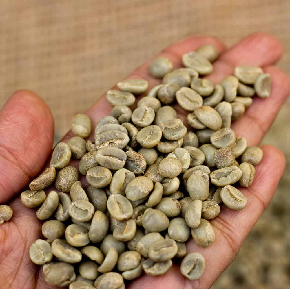 green coffee beans