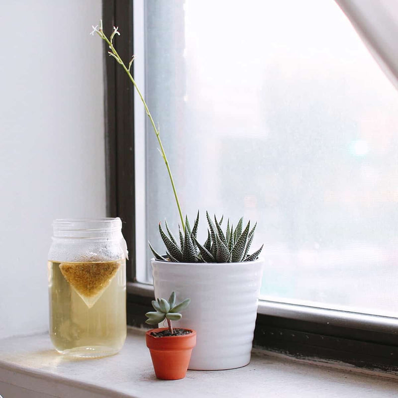 Coffee and yoga - Why is tea more prevalant in yoga circles?