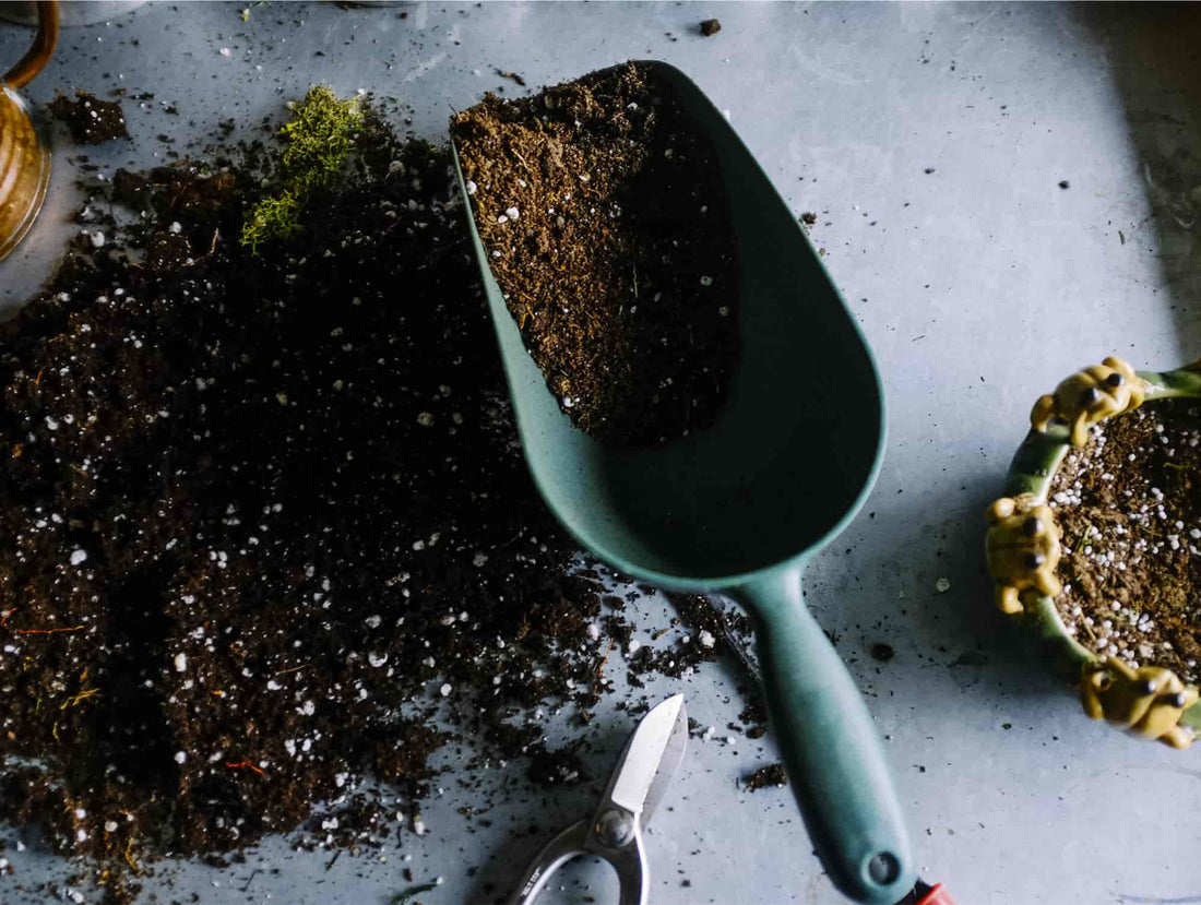 how to compost with coffee