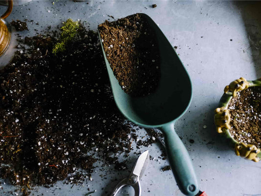 how to compost with coffee
