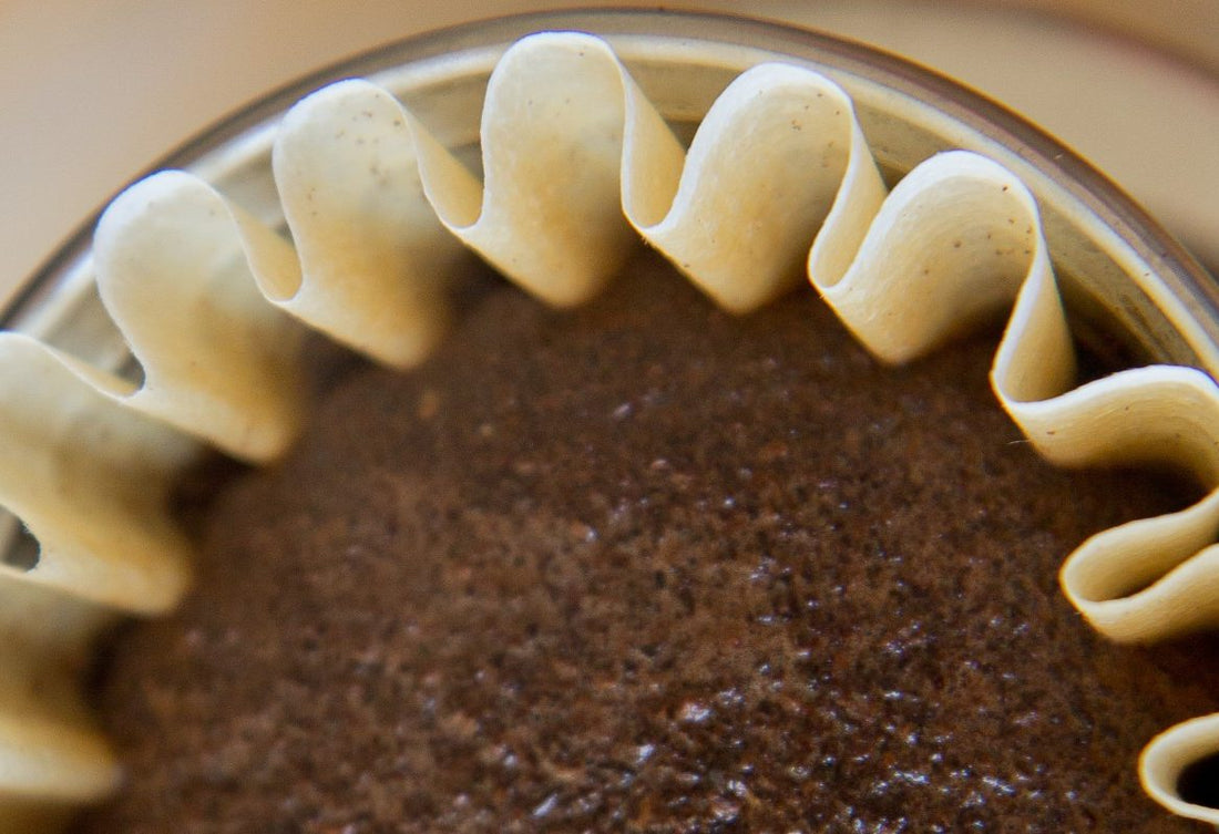 coffee bloom