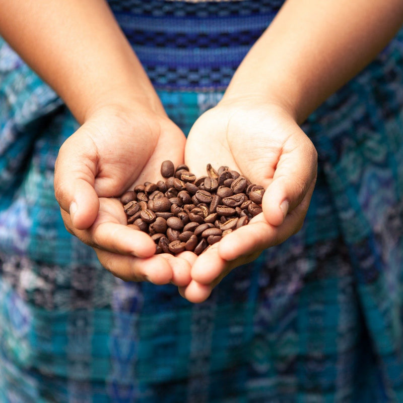 Coffee Grades: How Coffee Is Sorted By Size