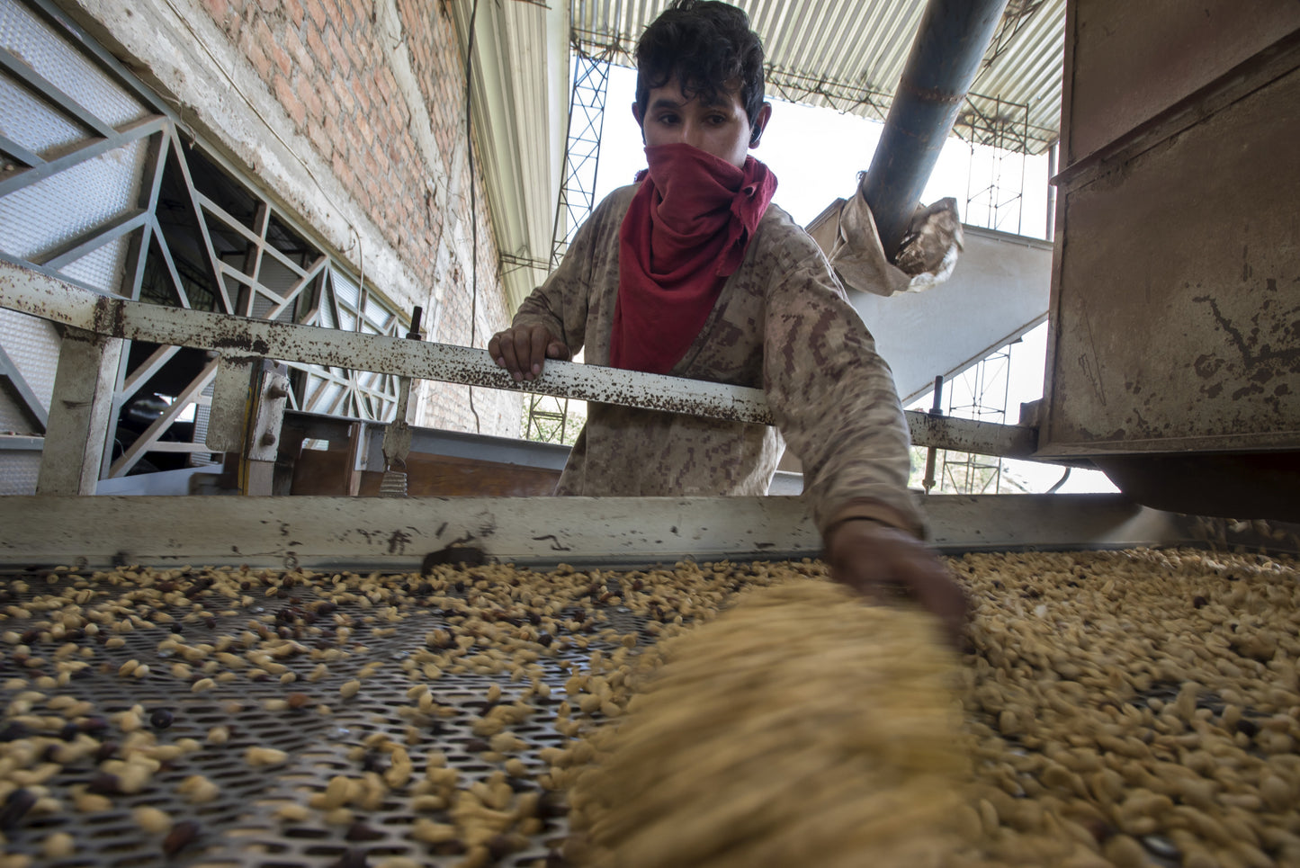 ROC Organic Peru Chirinos (Dark Roast)