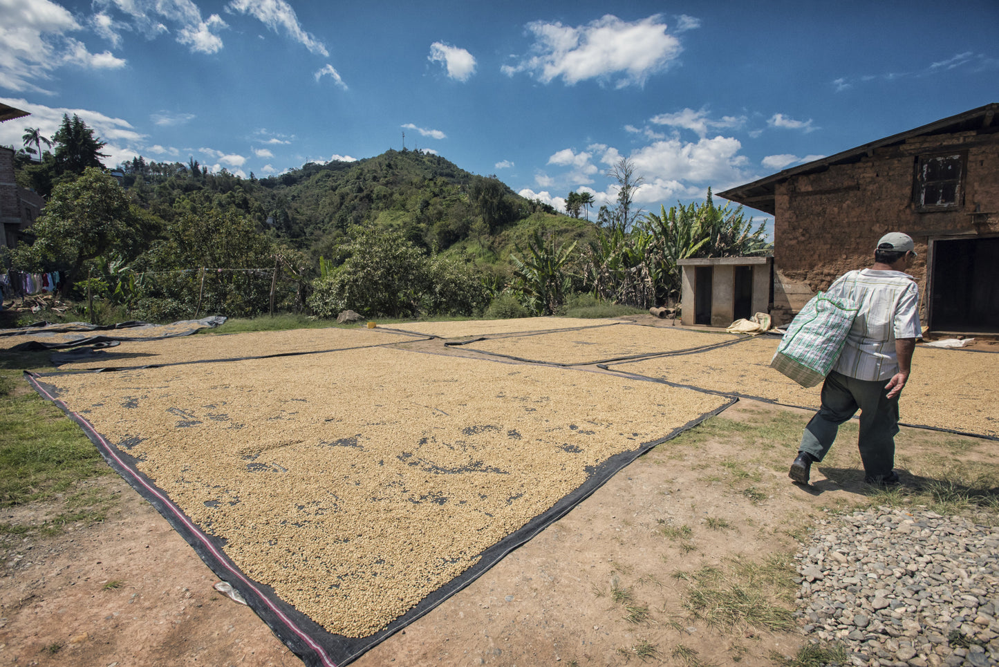 ROC Organic Peru Chirinos (Dark Roast)