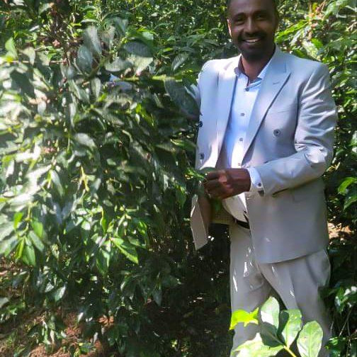 Ethiopia Mustefa Washed