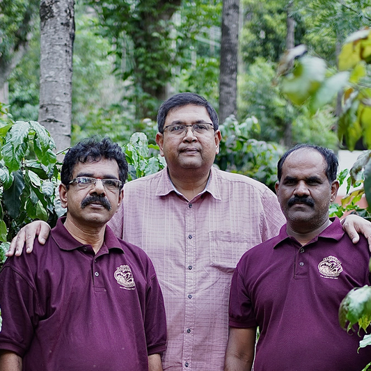 India Ratnagiri Mosto Washed