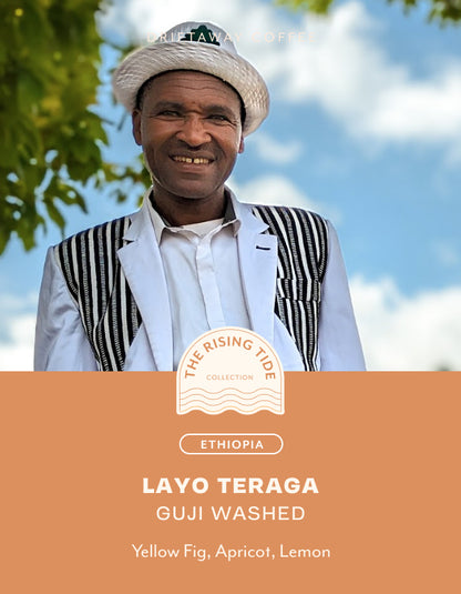 Roaster of the Year Winning Single Origin Box Set