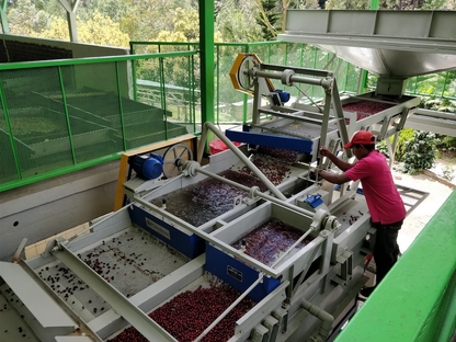 Nicaragua Luis Alberto Baladerez