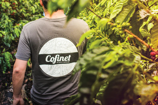 Colombia Jardines del Eden Yellow Gesha