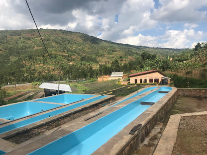 Rwanda - Kinini Village - Abateranankunga