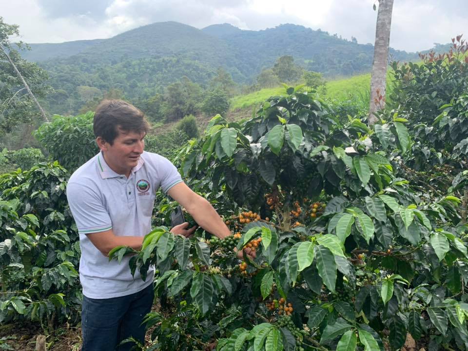 ROC Organic Peru Chirinos (Dark Roast)