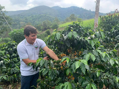 ROC Organic Peru Chirinos (Dark Roast)