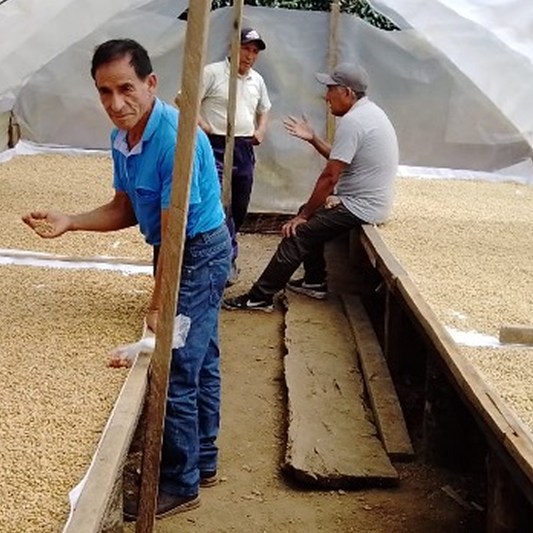 Peru Santa Teresa Sahuayaco