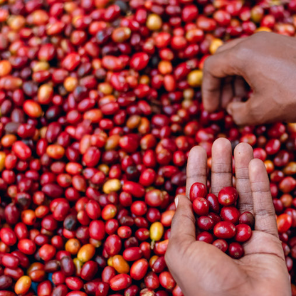 Rwanda Dukorere Kawa Bukure