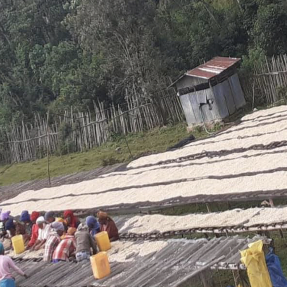 Ethiopia Metu