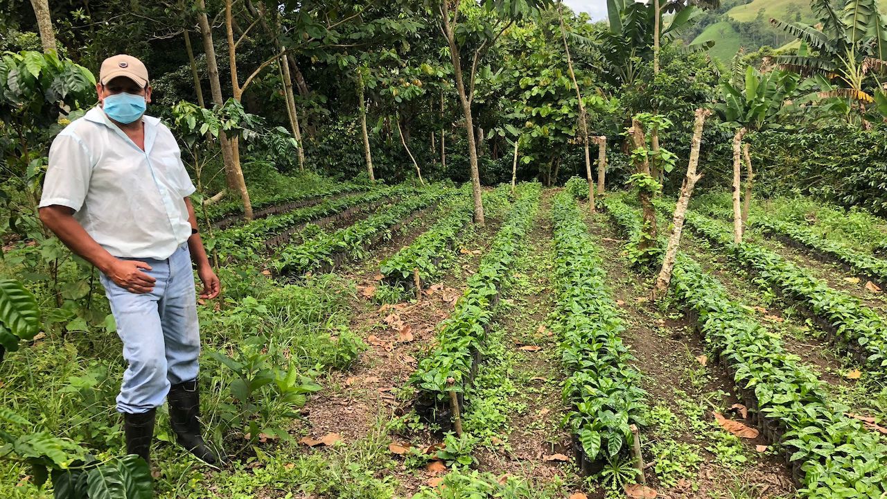 Regenerative Organic Nicaragua SACACLÍ Cooperative