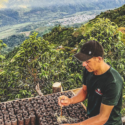 Colombia Jorge Rojas Pink Bourbon