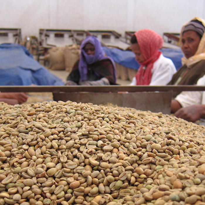 Ethiopia Agaro