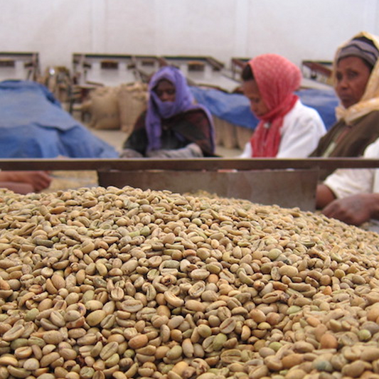 Ethiopia Agaro
