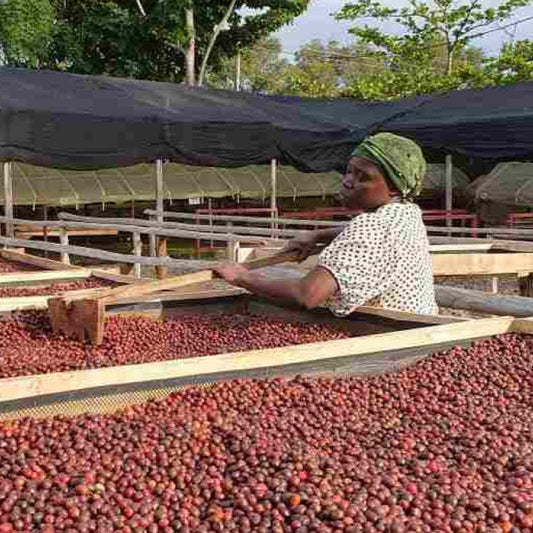 Mt Elgon Blend (Dark Roast)