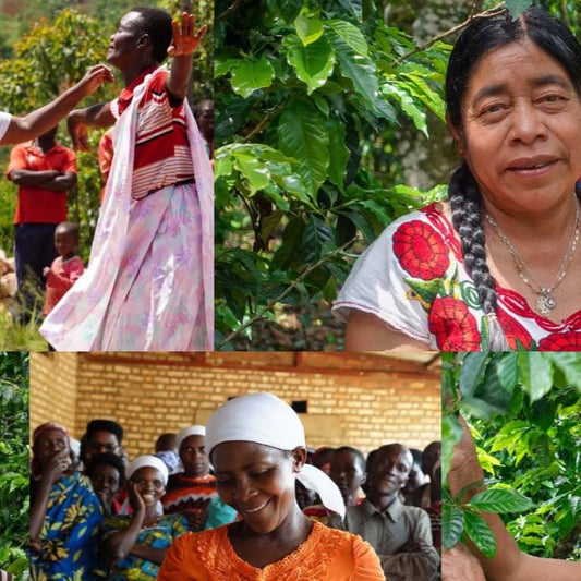 She Roars Espresso Blend: Burundi & Guatemala