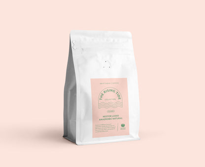 COLOMBIA NESTOR LASSO ANAEROBIC NATURAL