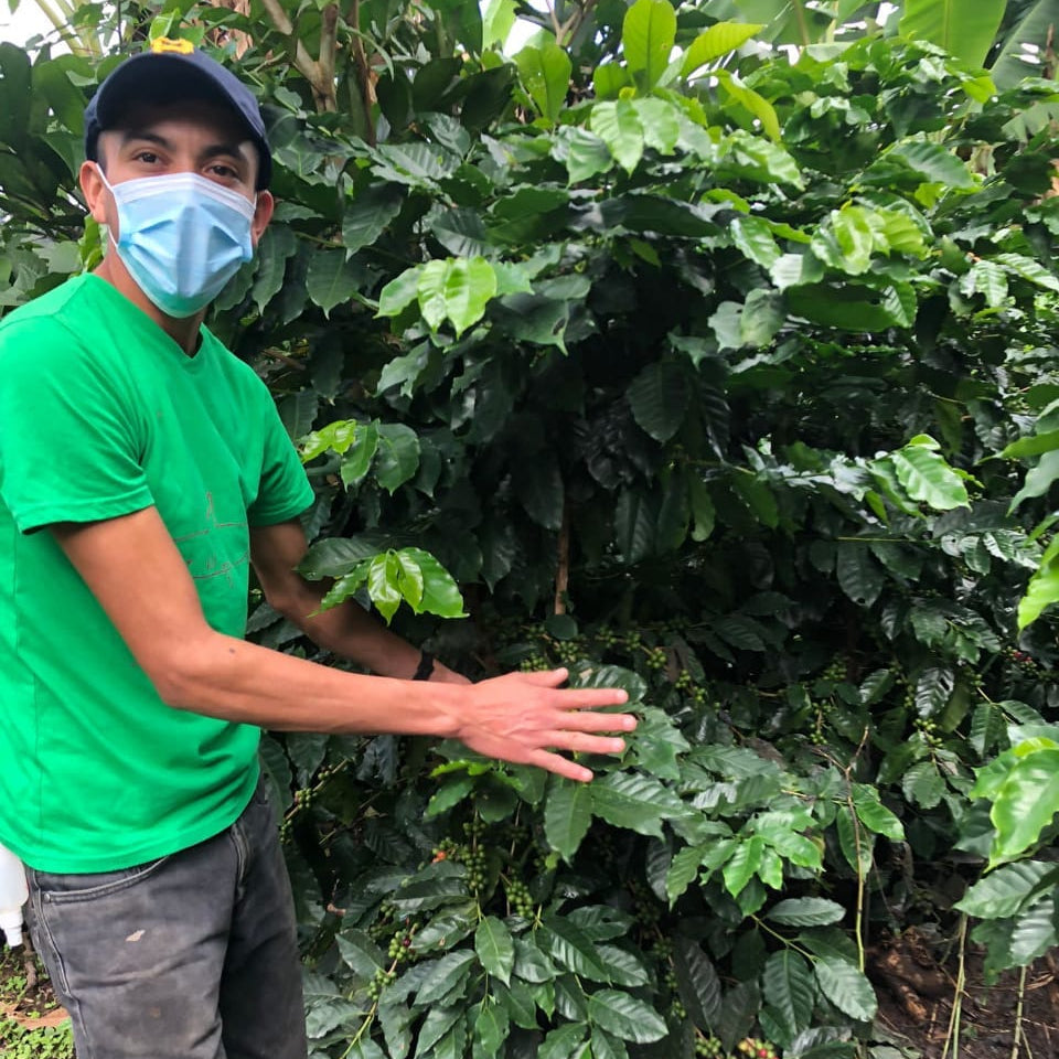 Nicaragua SACACLI