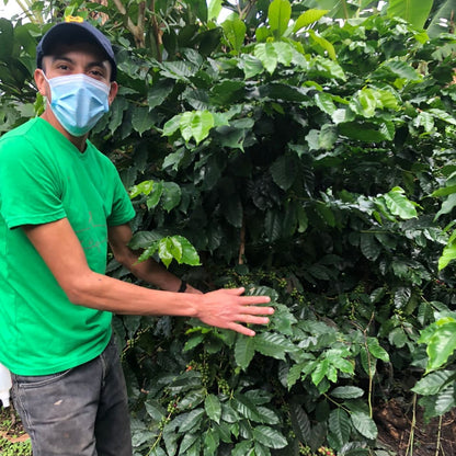 Nicaragua SACACLI Cooperative