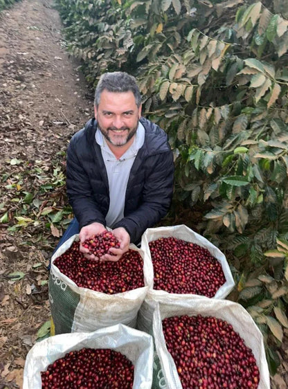 Colombia Finca Milan Culturing Nitro Caturra