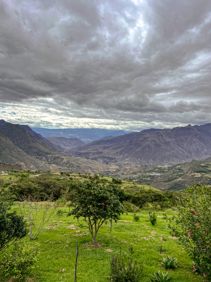 Ecuador Abel Salinas Finca Arashi Typica Mejorado