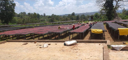 Caramel Brownie (Ethiopia + Colombia)