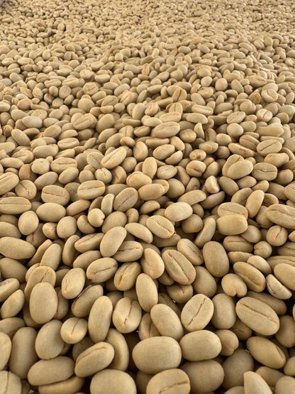 Ecuador Finca La Josefina Typica Mejorado