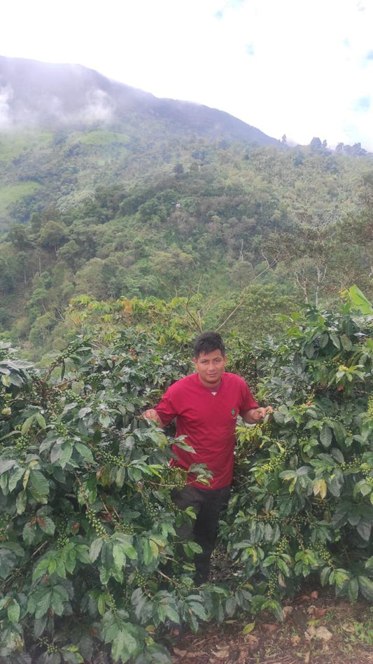 Peru Cajamarca Huabal