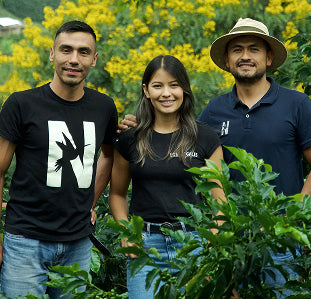 COLOMBIA LOS NOGALES CATURRA DECAF (Light Roast)