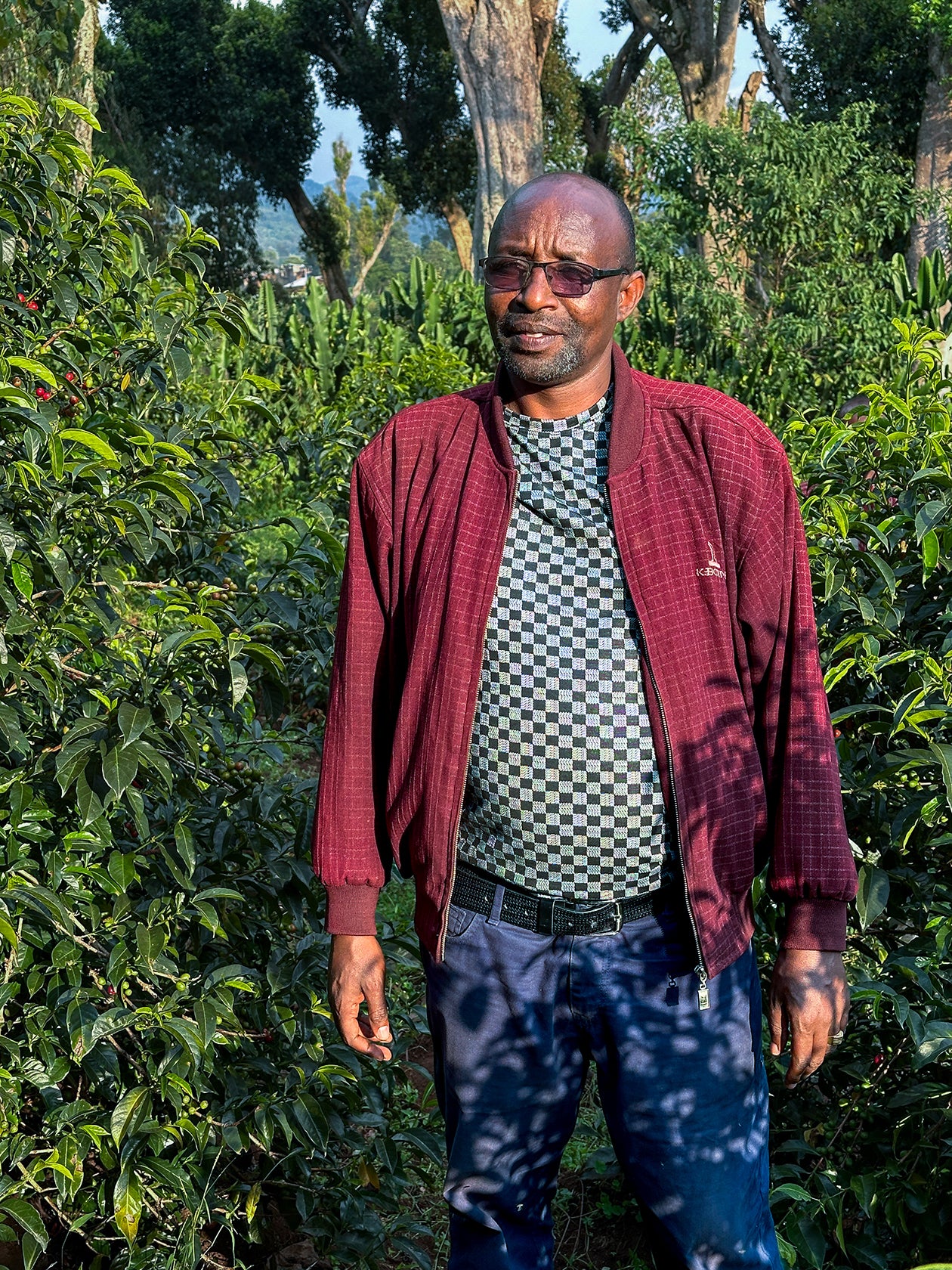 Ethiopia Matte Matosa Anaerobic Natural