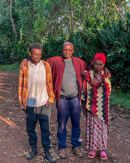 Ethiopia Matte Matosa Anaerobic Natural