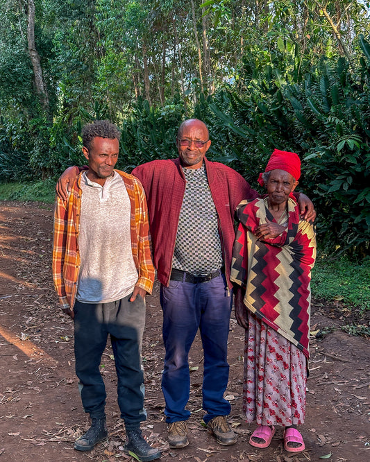 Ethiopia Matte Matosa Anaerobic Natural