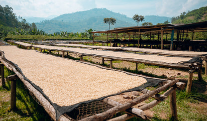 Rwanda Dukorere Kawa Bukure